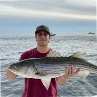 Axon Employee Gordon Jacobs's profile photo