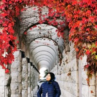 Malaysian Association For The Blind Employee Farizatul Muhamad's profile photo