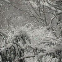 Hoffman Engineering, LLC. Employee Nanci Natale's profile photo