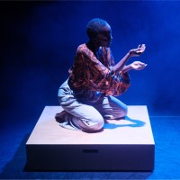 Salma Faraji Email