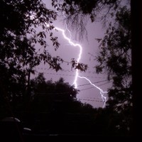 Peak Performers, Inc Employee Michele Cox's profile photo