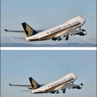 Fleur Robinson Email