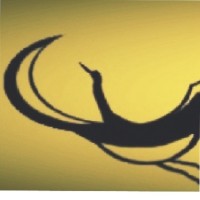 The Yellow Crane® Employee Ray G's profile photo