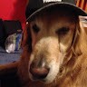 Protec Controls Employee Seth Ristow's profile photo