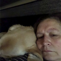 Wendy MacKay Email
