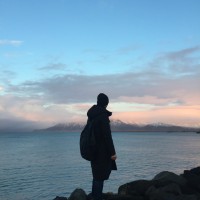 Nuverse Games Employee 朱兆威's profile photo