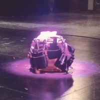 Interlinea edizioni Employee Emanuele Broccardo's profile photo