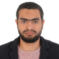 Mahmoud Salem Email