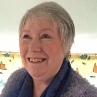 The Driving Instructors Learning Environment (The Dile) Employee Jackie Willis's profile photo