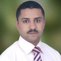 Ayman Shrkawy Email