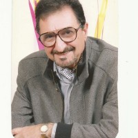 Samir Grizi