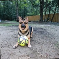 Liberty Doctors, LLC Employee Michael Chandler's profile photo