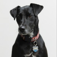 Digital 55 Employee Harley Whitlow's profile photo