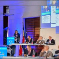 Francesca Finelli Email