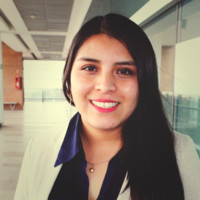 Vicapital Employee Romina Yefi's profile photo