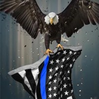 Todd Fenton Email & Phone Number