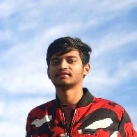 Litexn LLC Employee Margesh Sangani's profile photo