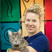 Laura Jordan Email & Phone Number