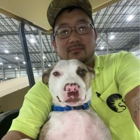 Shine Electrical Group Employee Ted Frick's profile photo