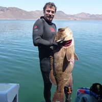 Tucson Medical Center Employee Mike Probstfeld's profile photo