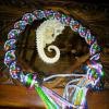 Hippocampus Employee Beatriz Novak's profile photo