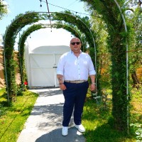 VERINLEGNO SPA Employee Maurizio Lelli's profile photo