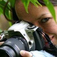 Load Controls Incorporated Employee Lisa Aube's profile photo