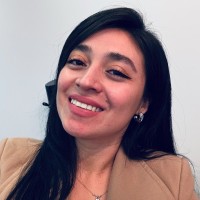 SEGULA Technologies Employee Denis Michell Romero Mendoza's profile photo
