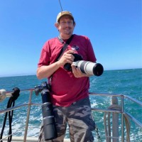Getty Images Employee Don Weir's profile photo