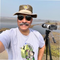InSolare Energy Pvt. Ltd. Employee Pankaj Sharma's profile photo