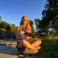 Anne Farley Email & Phone Number
