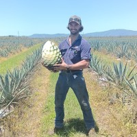 EHS Manufacturing Employee Joe Camilleri's profile photo