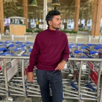 ProVerne Solutions Pvt Ltd Employee Rohit Brijwasi's profile photo