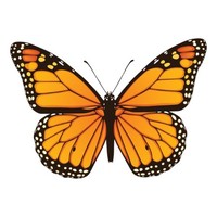 Natalie Upton Email & Phone Number