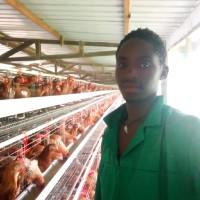 miCasa Employee Castro Chirwa's profile photo