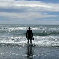 Johnny Mitchell Email