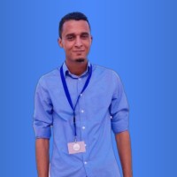 Mohamed Krimi Email