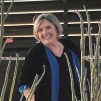 Barbara Brewer Email & Phone Number