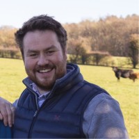 Rocket Rose Holdings Employee Thomas Pass's profile photo