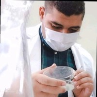 FIVE STAR FLOUR MILLS CO Employee Mohamed al Amary's profile photo