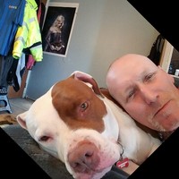 Therm-X, California Employee David Johnson's profile photo