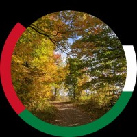 DraftAid Employee Abdullah Elqabbany's profile photo