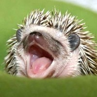 Caldiatech Employee Daniel Perkins's profile photo