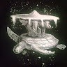 basd Employee Stephen Murray's profile photo
