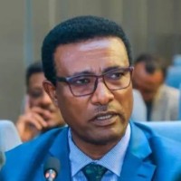 Kefena Delesa Email