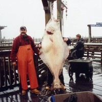 Rick Usher Email & Phone Number