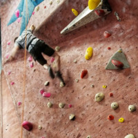 Vinzant Software Employee Jake Schinella's profile photo