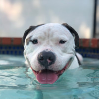 All3Media America Employee James Voda's profile photo