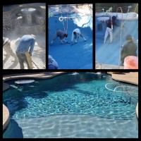 Josh Johnson Email & Phone Number