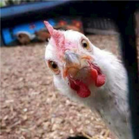Amelicor Employee Eric McDaniel's profile photo